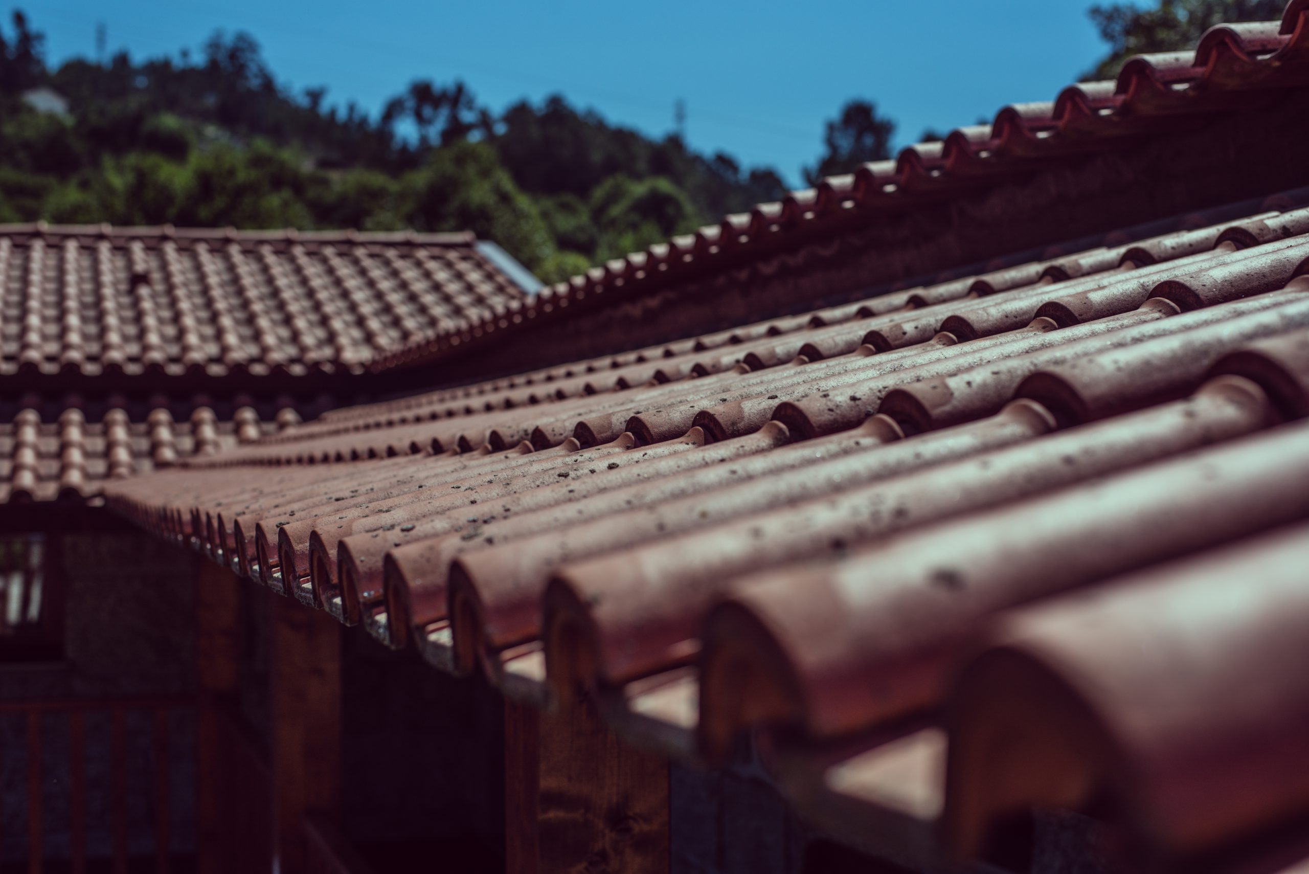 The Importance of Regular Roof Maintenance for Miami Homeowners
